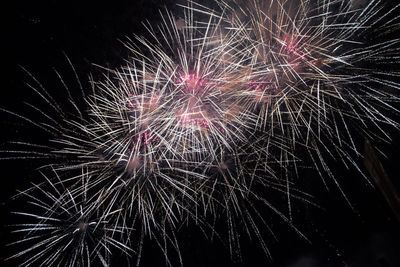 Low angle view of firework display at night