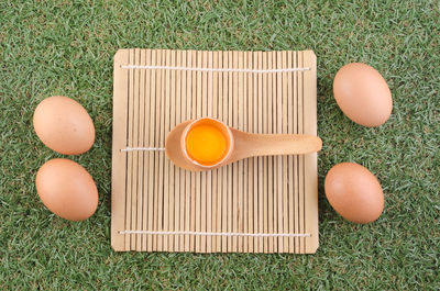 High angle view of eggs on grass