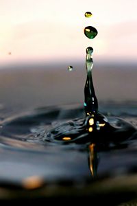 Close-up of water drop