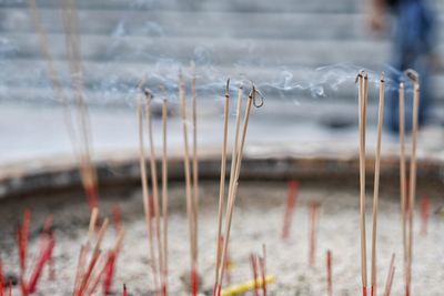 Close-up of incense on ash