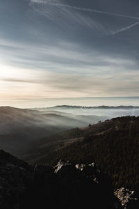 Low fog in the sunset 