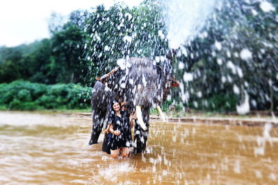 Full frame shot of wet tree in lake during rainy season