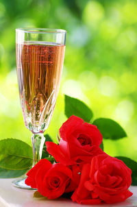 Close-up of glass of champagne with red rose on table