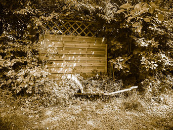 Plants against trees