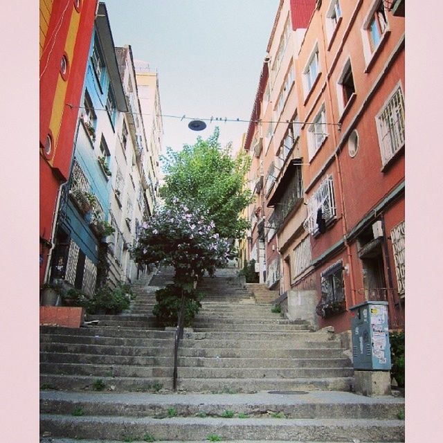 building exterior, architecture, built structure, residential building, the way forward, residential structure, building, steps, low angle view, house, city, clear sky, street, steps and staircases, staircase, narrow, alley, day, diminishing perspective, window