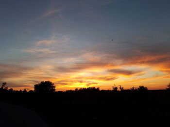 Silhouette trees on landscape against sky at sunset