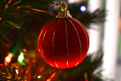 Close-up of illuminated christmas tree at night