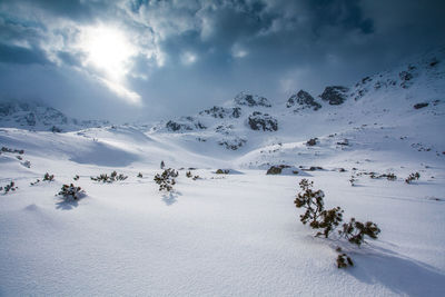 Scenic view of snow covered landscape