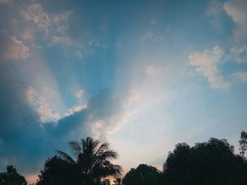Low angle view of silhouette trees against sky