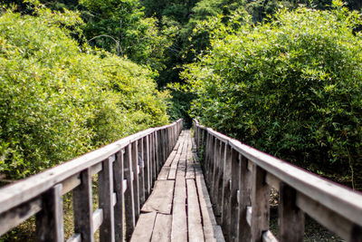 Footbridge amidst trees in forest