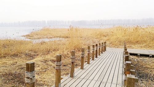 Wooden posts on beach against clear sky