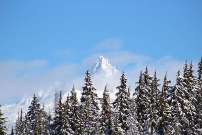 Low angle view of snowcapped mountains against sky