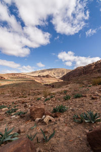 Scenic view of desert against sky