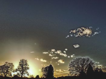 Low angle view of silhouette trees against sky at sunset