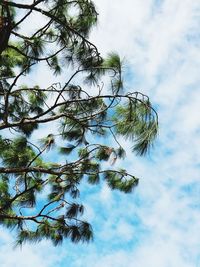 Low angle view of tree against sky