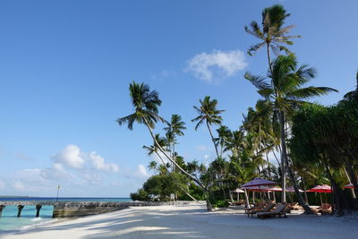 People at beach against sky