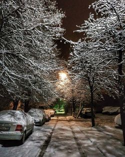 View of street in city during winter