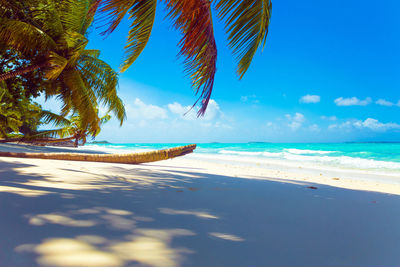 Scenic view of beach against blue sky