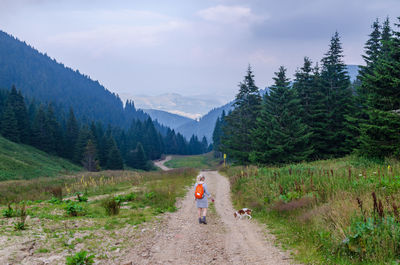 Woman hiker and her dog while walking on a path leading through hills