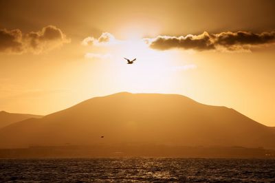 Fuerteventura - sunset on the boat 