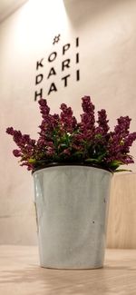 Close-up of potted plant on table