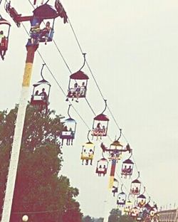Low angle view of tree against sky