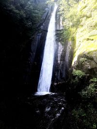 Scenic view of waterfall in forest