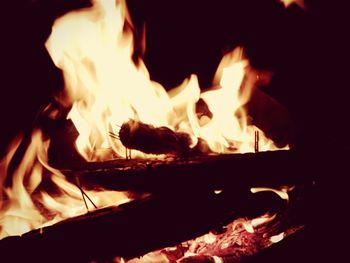 Close-up of bonfire at night