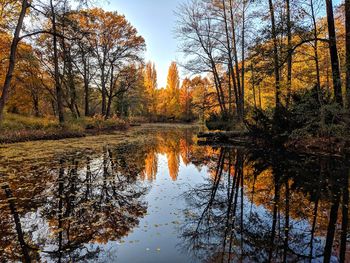 Reflection of trees in lake during autumn