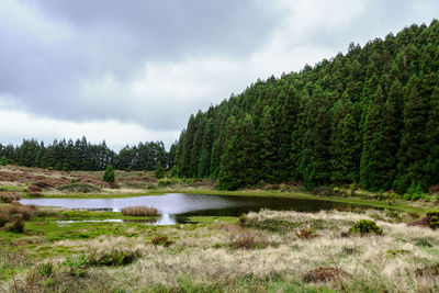 Scenic view of lake against sky