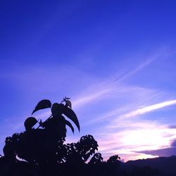 Low angle view of silhouette people against blue sky