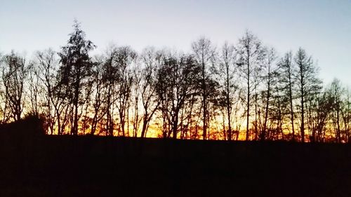 Low angle view of silhouette trees against clear sky