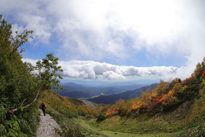 Rear view of man walking on mountain against sky