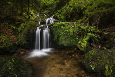 Scenic view of waterfall in forest
