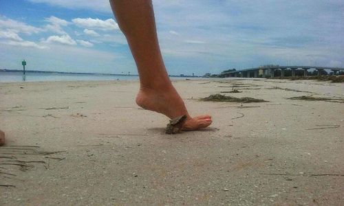 People on beach against sky