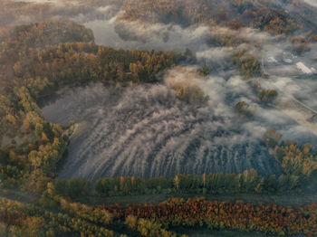 High angle view of trees on field