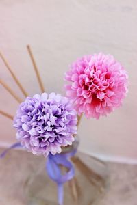 Close-up of purple flowers