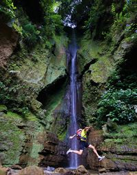 View of waterfall in forest