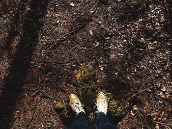 Low section of person standing on ground