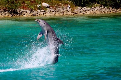 Water splashing in swimming in sea