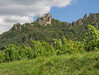 Dürnstein at the danbue river