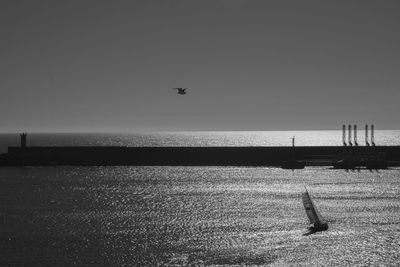 Bird flying over sea against clear sky