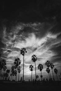 Low angle view of silhouette trees against sky at sunset