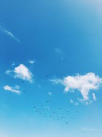 Low angle view of birds flying in sky