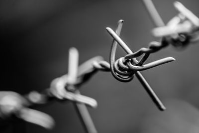 Close-up of barbed wire