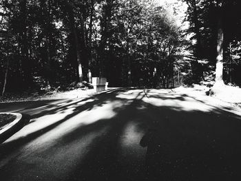 Empty road along trees