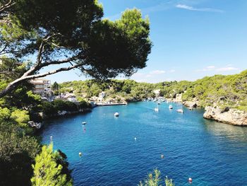 High angle view of sea and trees against sky