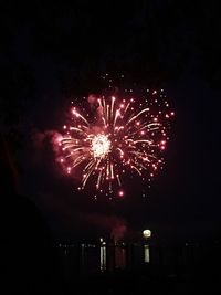 Low angle view of firework display at night