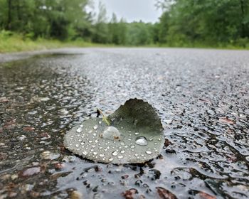 Surface level of wet road in rainy season