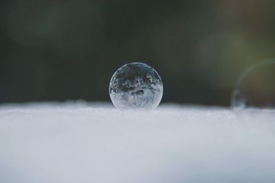 Close-up of ice crystals against blurred background